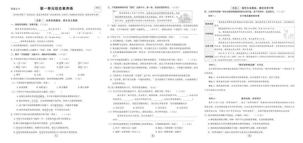 \